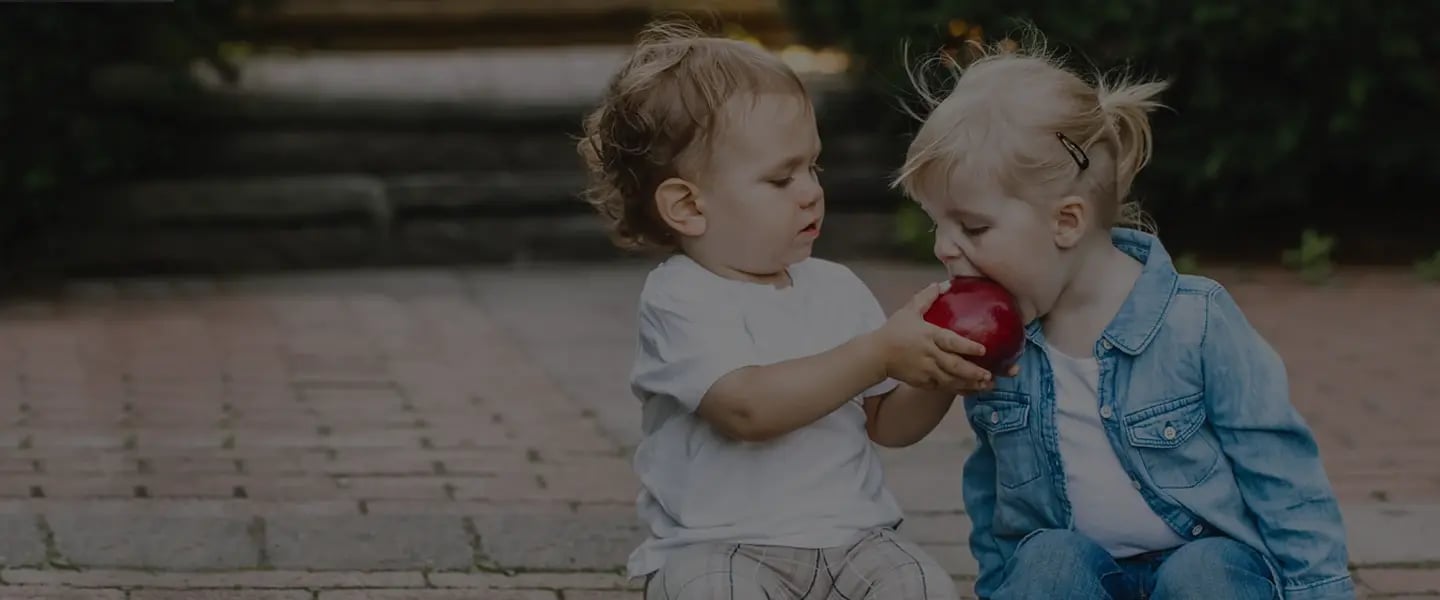 Porti un'amico in Sector Alarm