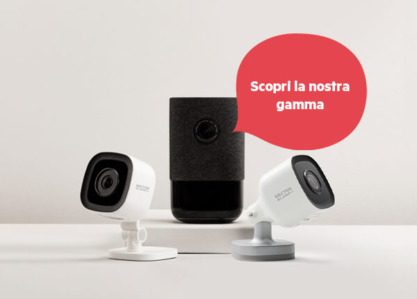 env-security-cameras_it